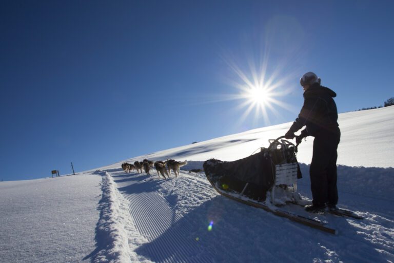 une personne en trans de faire du traîneaux dans le vercors dans une belle piste dame des stations de la drome