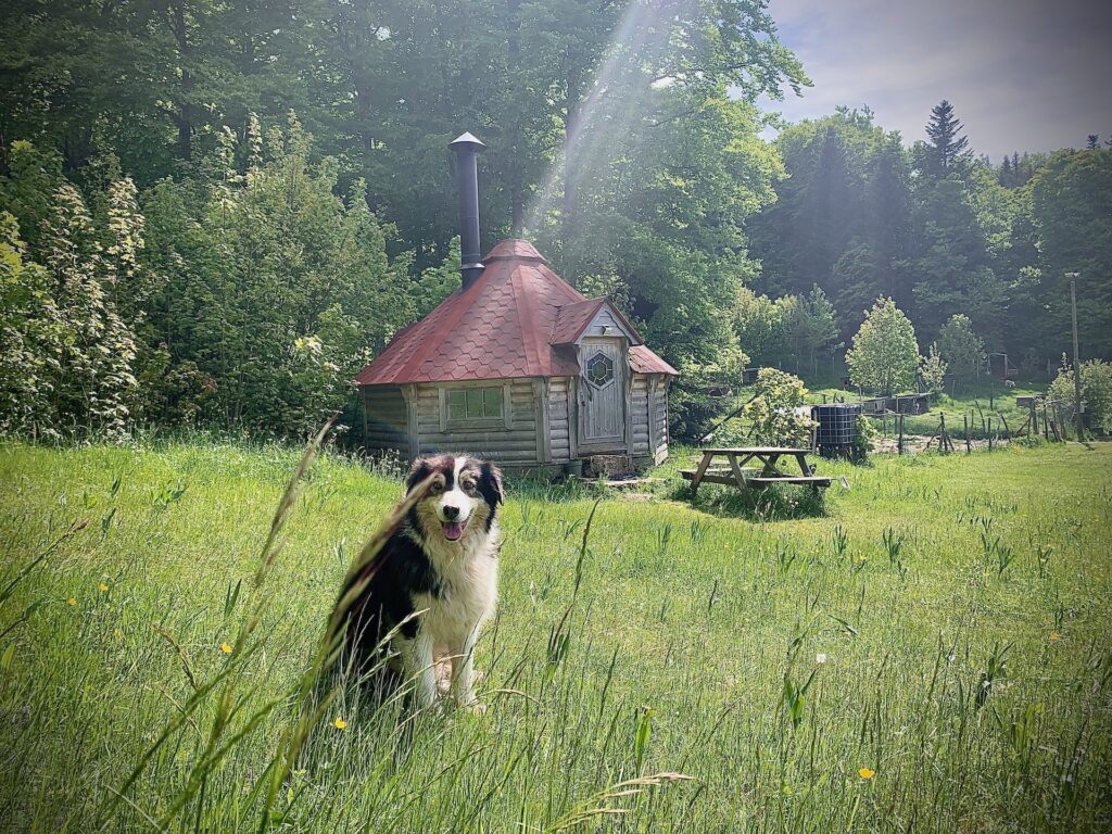 kota_filandais_esprit_du_nord_vercors56